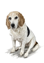 Load image into Gallery viewer, Colour pet portrait - Dog drawn sat down - Color drawing -drawings and portraits from your photos - drawking.com - Drawking