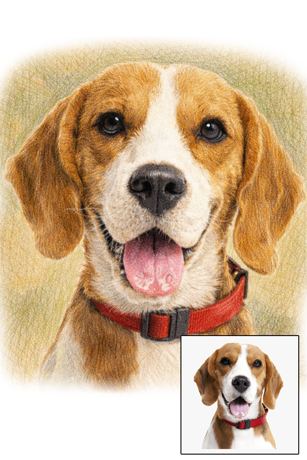 Pet portrait in Color