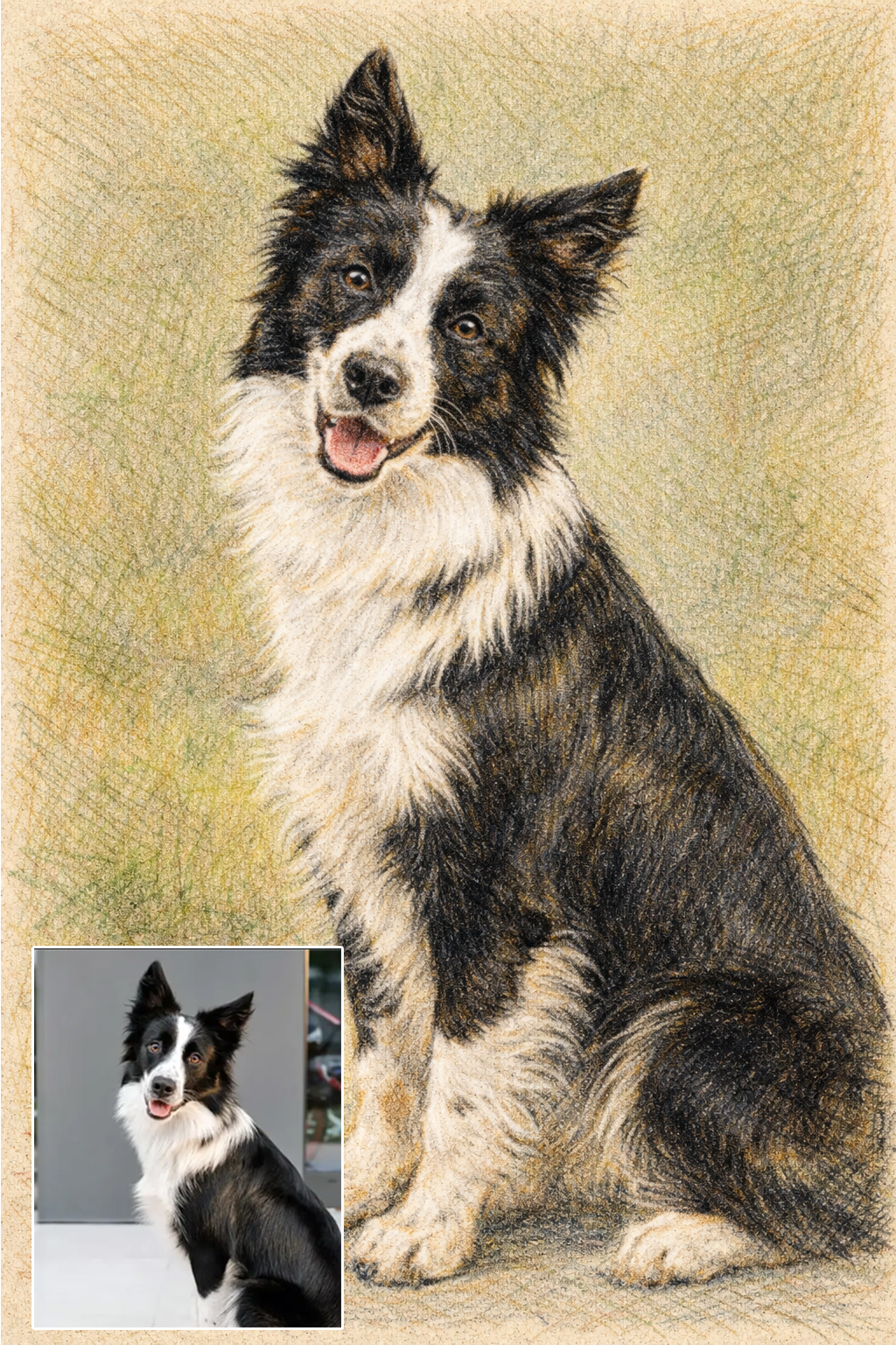 Pet portrait in Color