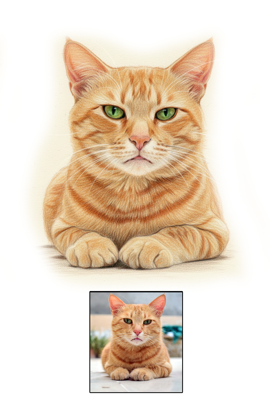 Pet portrait in Color