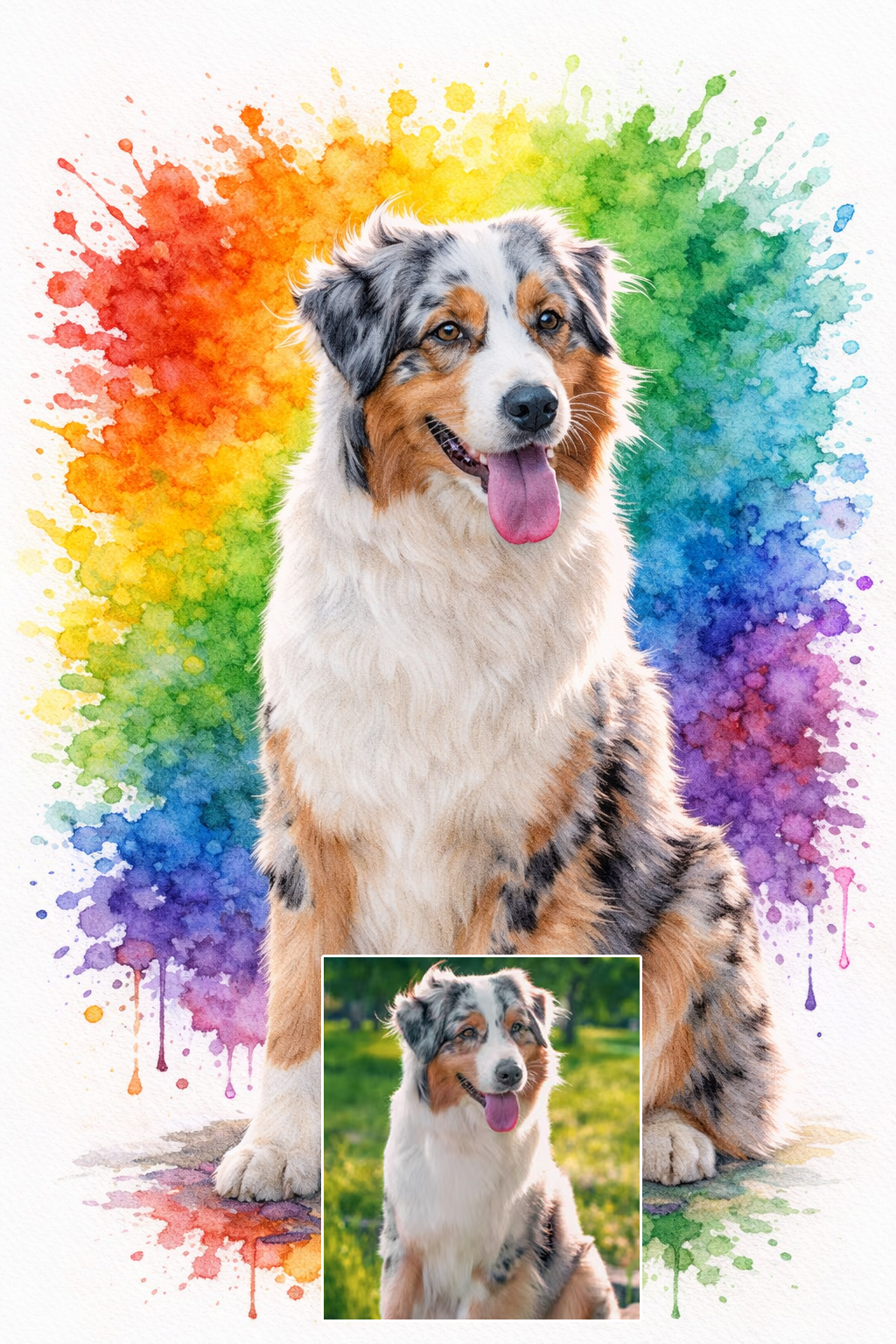 Rainbow Bomb Pet Portrait – DRAWKING.COM - Portraits from your Photos