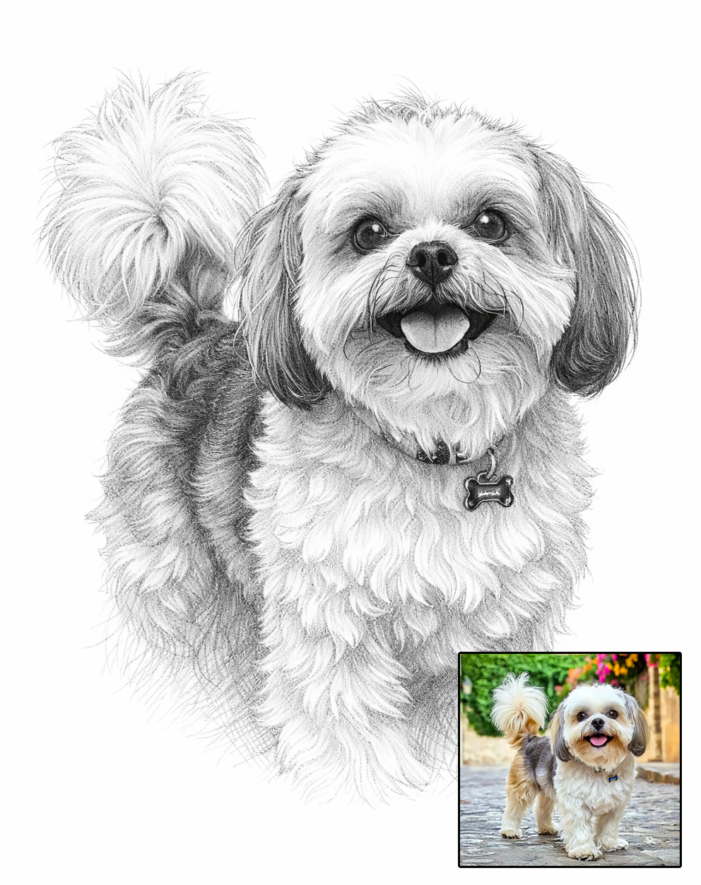 DrawKing black and white pencil sketch pet portrait of a small dog drawn from photo