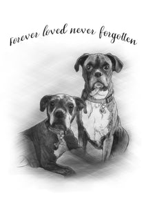 Black & white animal portrait - Dogs who have passed drawn - drawings and portraits from your photos - drawking.com - DrawKing