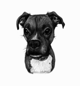 Black and white portrait with pets or animals - Drawing of a dog- drawings and portraits from your photos - drawking.com - DrawKing