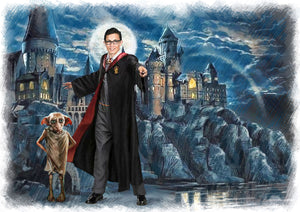 Color portrait with background - boy with harry potter castle and Dobby - colour portrait - drawings and portraits from your photos - drawking.com - DrawKing
