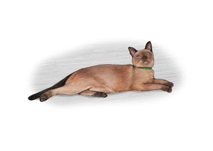 Colour pet portrait - Cat drawn lay down - Color drawing -drawings and portraits from your photos - drawking.com - Drawking
