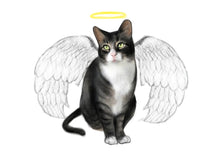 Load image into Gallery viewer, Colour pet portrait - Cat drawn with wings and halo - Color drawing -drawings and portraits from your photos - drawking.com - Drawking
