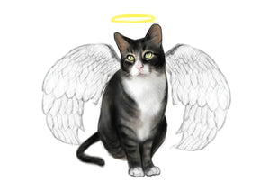 Colour pet portrait - Cat drawn with wings and halo - Color drawing -drawings and portraits from your photos - drawking.com - Drawking