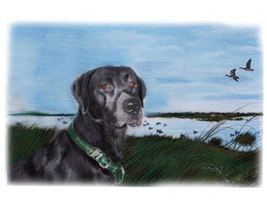 Colour pet portrait - Dog drawn near lake - Color drawing -drawings and portraits from your photos - drawking.com - Drawking