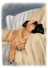 Load image into Gallery viewer, Colour pet portrait - Dog drawn on couch with blanket - Color drawing -drawings and portraits from your photos - drawking.com - Drawking
