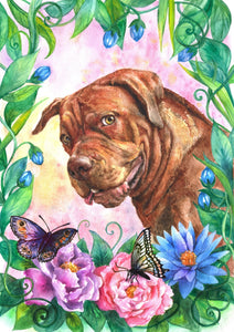 Colour pet portrait - Dog drawn with flowers and butterfly's - Color drawing -drawings and portraits from your photos - drawking.com - Drawking