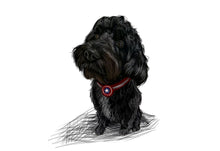 Load image into Gallery viewer, Colour pet portrait - Dog drawn with superhero collar - Color drawing -drawings and portraits from your photos - drawking.com - Drawking
