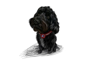 Colour pet portrait - Dog drawn with superhero collar - Color drawing -drawings and portraits from your photos - drawking.com - Drawking