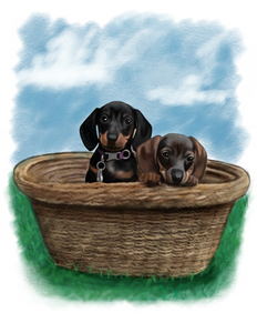 Colour pet portrait - Little dogs drawn in basket - Color drawing -drawings and portraits from your photos - drawking.com - Drawking
