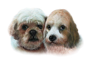 Colour pet portrait - Two dogs drawn together - Color drawing -drawings and portraits from your photos - drawking.com - Drawking