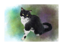 Load image into Gallery viewer, Colour pet portrait with pattern background - Cat drawn with watercolour - drawings and portraits from your photos - drawking.com - Drawking
