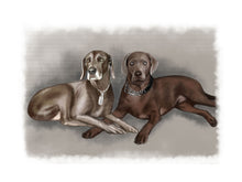 Load image into Gallery viewer, Colour pet portrait with pattern background - Two dogs drawn - drawings and portraits from your photos - drawking.com - Drawking
